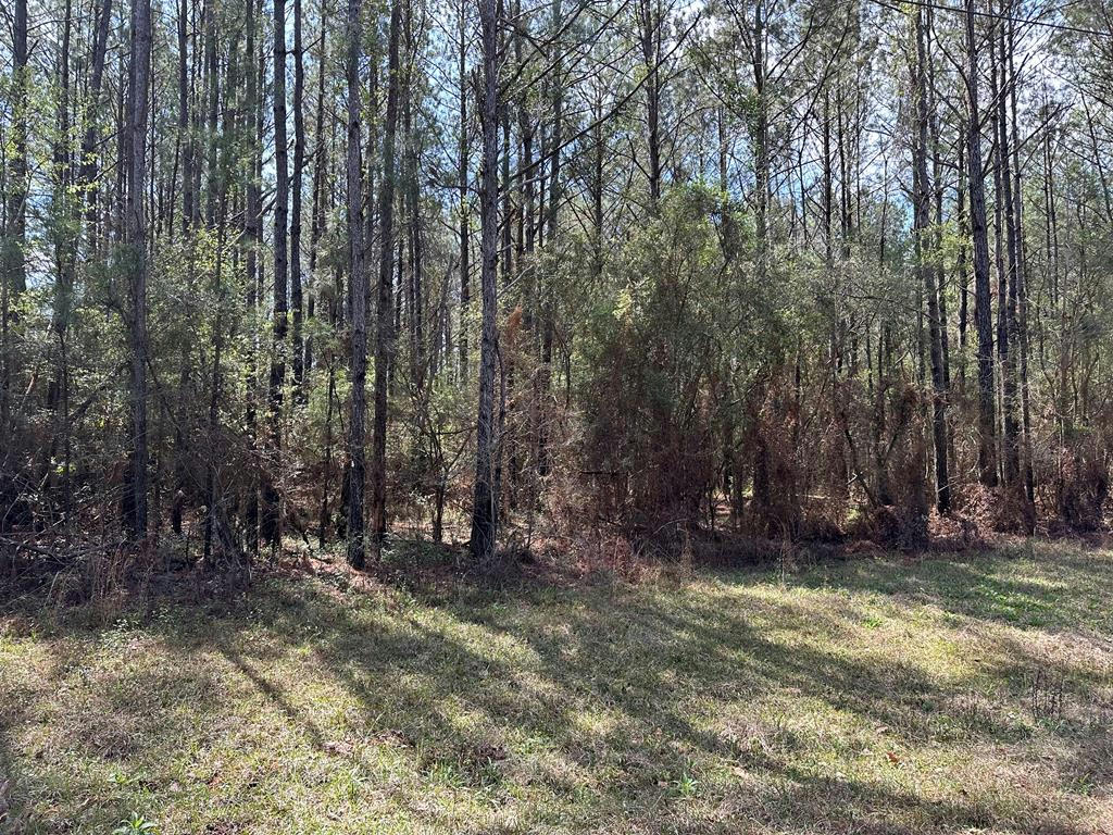 NHN CYBUR HILLS ROAD, PICAYUNE, MS 39466, photo 1 of 3