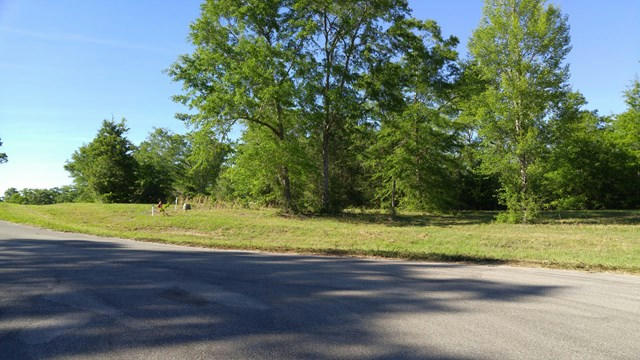 22 WINDING VALE DR, POPLARVILLE, MS 39470, photo 4 of 4
