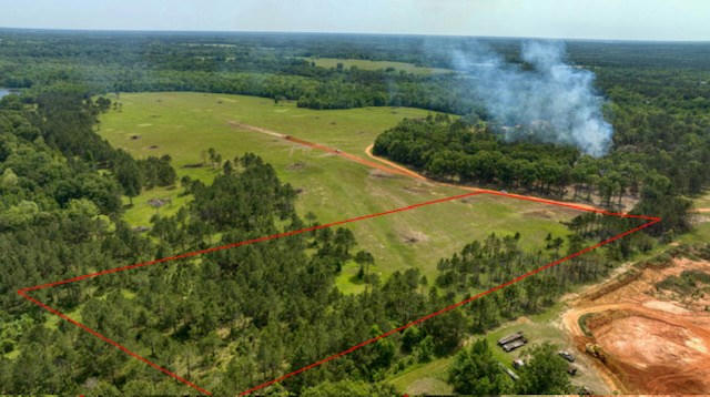 NHN LOT 1 LENORA DR., CARRIERE, MS 39426, photo 2 of 5