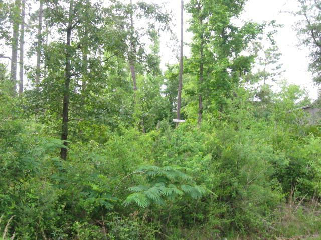 317 E SUNNYBROOK RD, CARRIERE, MS 39426, photo 1 of 6