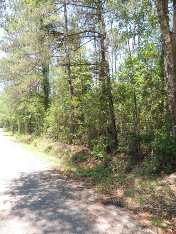 198A HAMMOCK RD, CARRIERE, MS 39426, photo 1 of 2