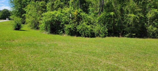 NHN SPRING OAK DR., CARRIERE, MS 39426, photo 2 of 3