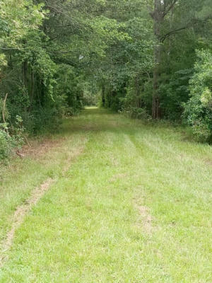 NHN COMPTON RANCH RD, POPLARVILLE, MS 39470 - Image 1