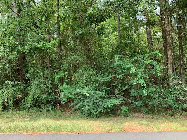 1421 HIDE A WAY LN, CARRIERE, MS 39426, photo 1 of 8