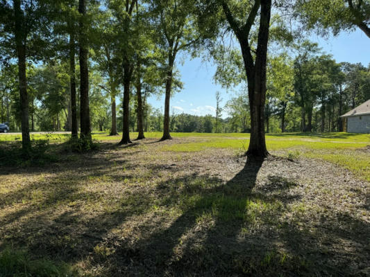 NHN ROCK RANCH ROAD, CARRIERE, MS 39426, photo 3 of 4