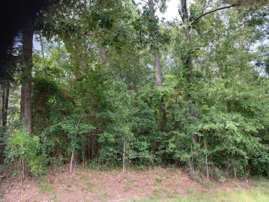 NHN LOT 1282 ROLLINGWOOD DR, CARRIERE, MS 39426, photo 3 of 15