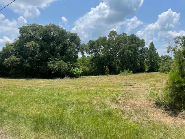 TRACT 6 TRACT 6 OF 620 GEORGE WISE RD, CARRIERE, MS 39426, photo 1 of 5