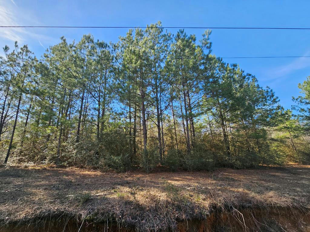 NHN PARCEL 4 REDFISH RD, POPLARVILLE, MS 39470, photo 1 of 6