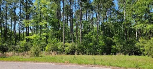 NHN MOSS CIRCLE, CARRIERE, MS 39426, photo 2 of 3