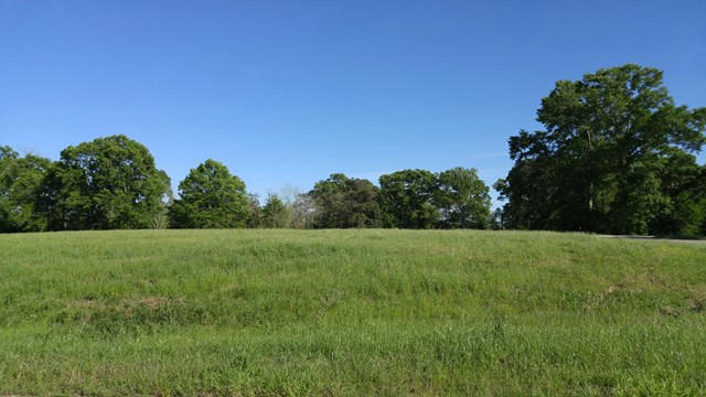 19 WINDING VALE DR, POPLARVILLE, MS 39470, photo 1 of 4