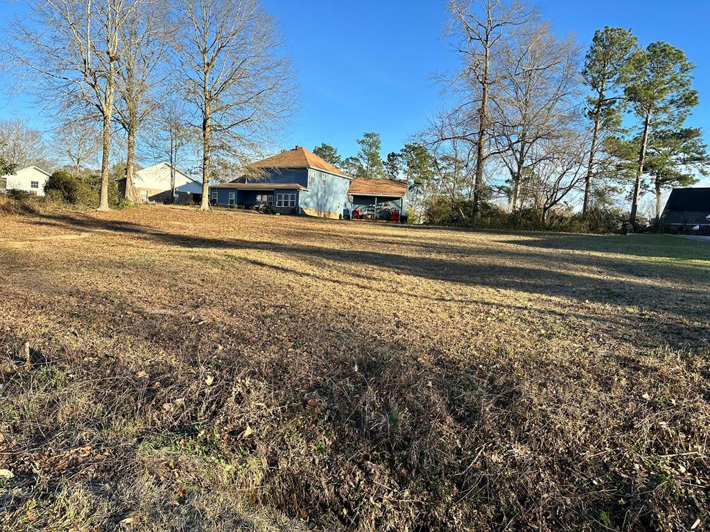 LOT# 520 EAST LAKESHORE DR, CARRIERE, MS 39426, photo 1 of 7