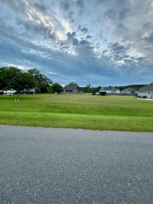NHN LOT 49 KNOLL CREEK, CARRIERE, MS 39466 - Image 1