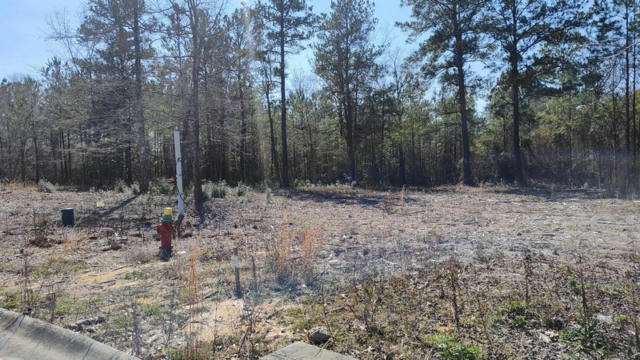 NHN LOT 30 MAGENTA LN, PICAYUNE, MS 39466, photo 4 of 4