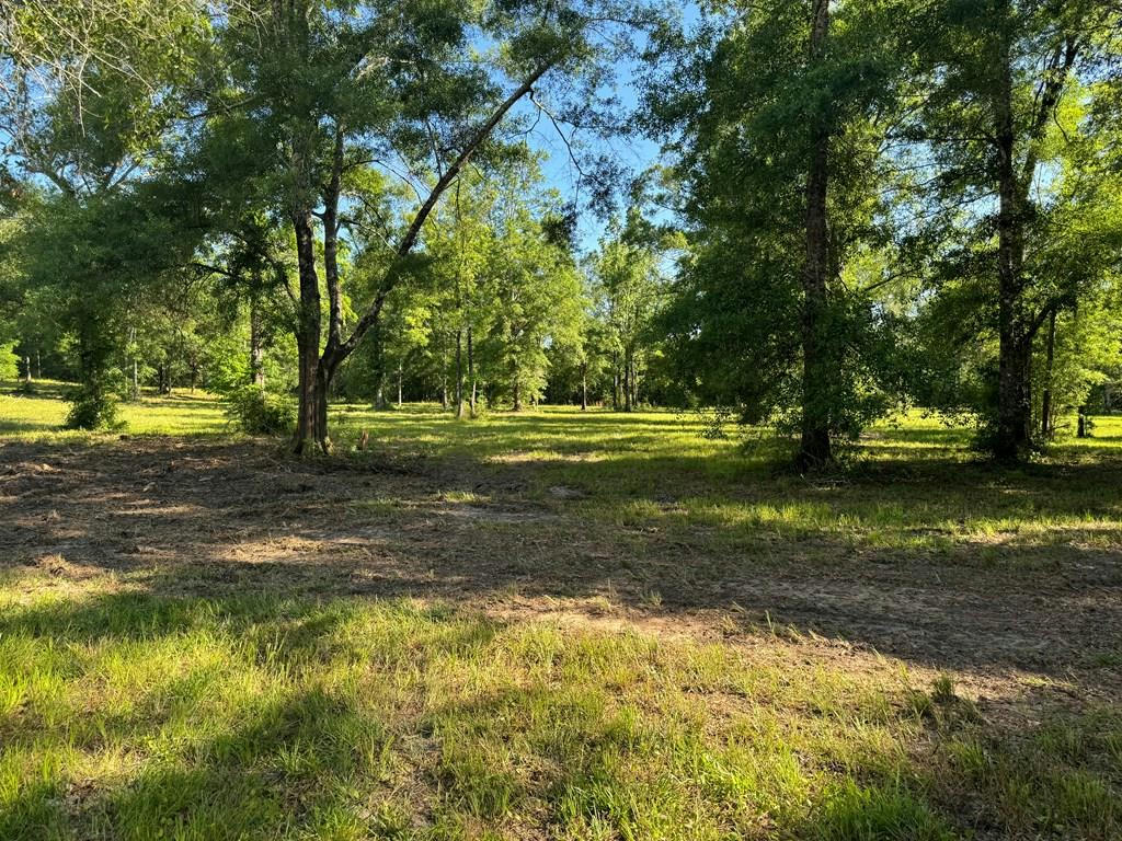 NHN ROCK RANCH ROAD, CARRIERE, MS 39426, photo 1 of 5