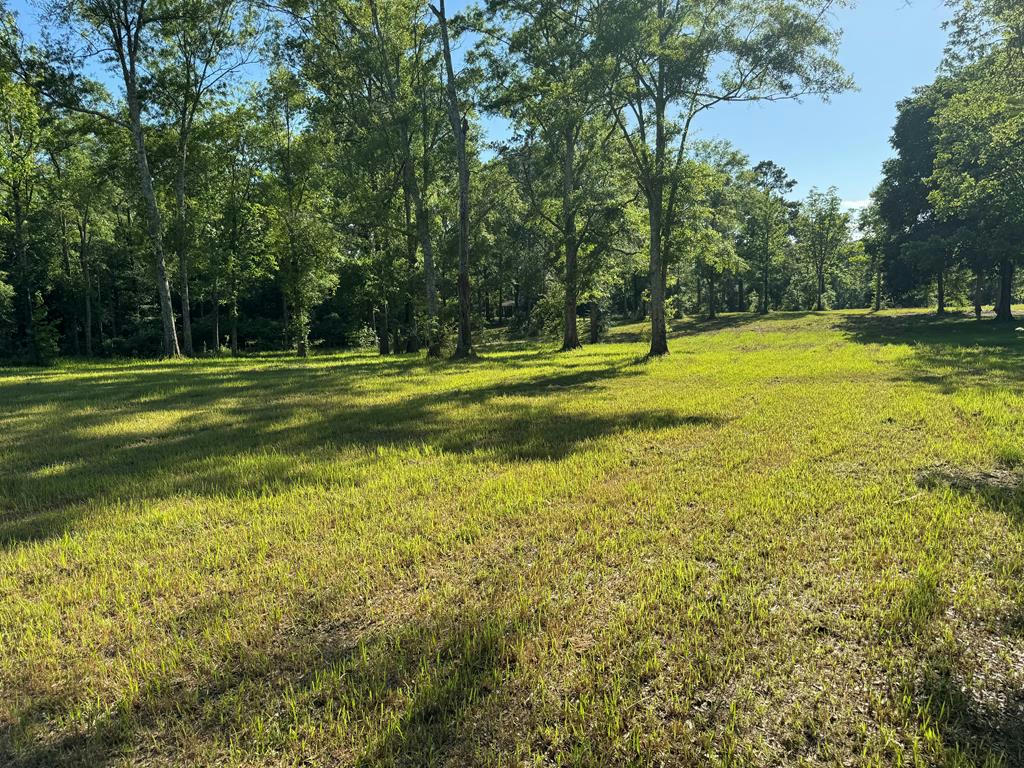NHN ROCK RANCH ROAD, CARRIERE, MS 39426, photo 1 of 3