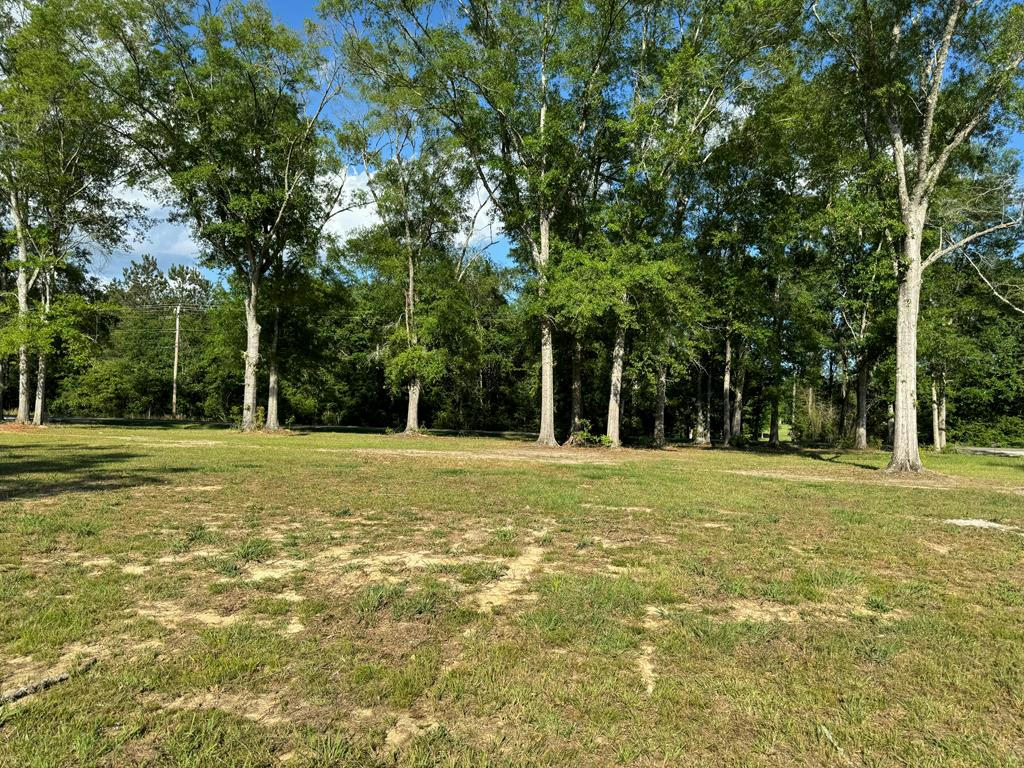NHN ROCK RANCH ROAD, CARRIERE, MS 39426, photo 1 of 4