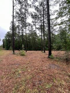 00 BOUIE RD, POPLARVILLE, MS 39470 - Image 1