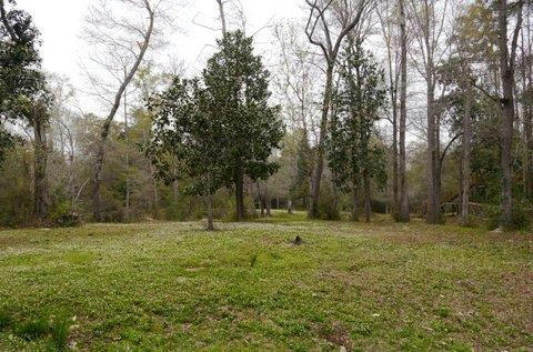 198A HAMMOCK RD, CARRIERE, MS 39426, photo 2 of 2