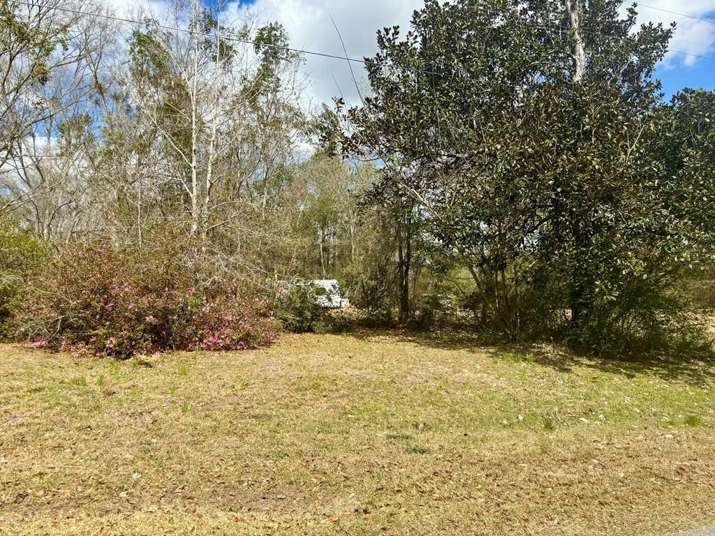 101 WILL THOMPSON RD, PICAYUNE, MS 39466, photo 1 of 18