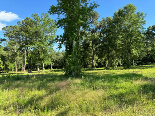 NHN ROCK RANCH ROAD, CARRIERE, MS 39426, photo 4 of 5