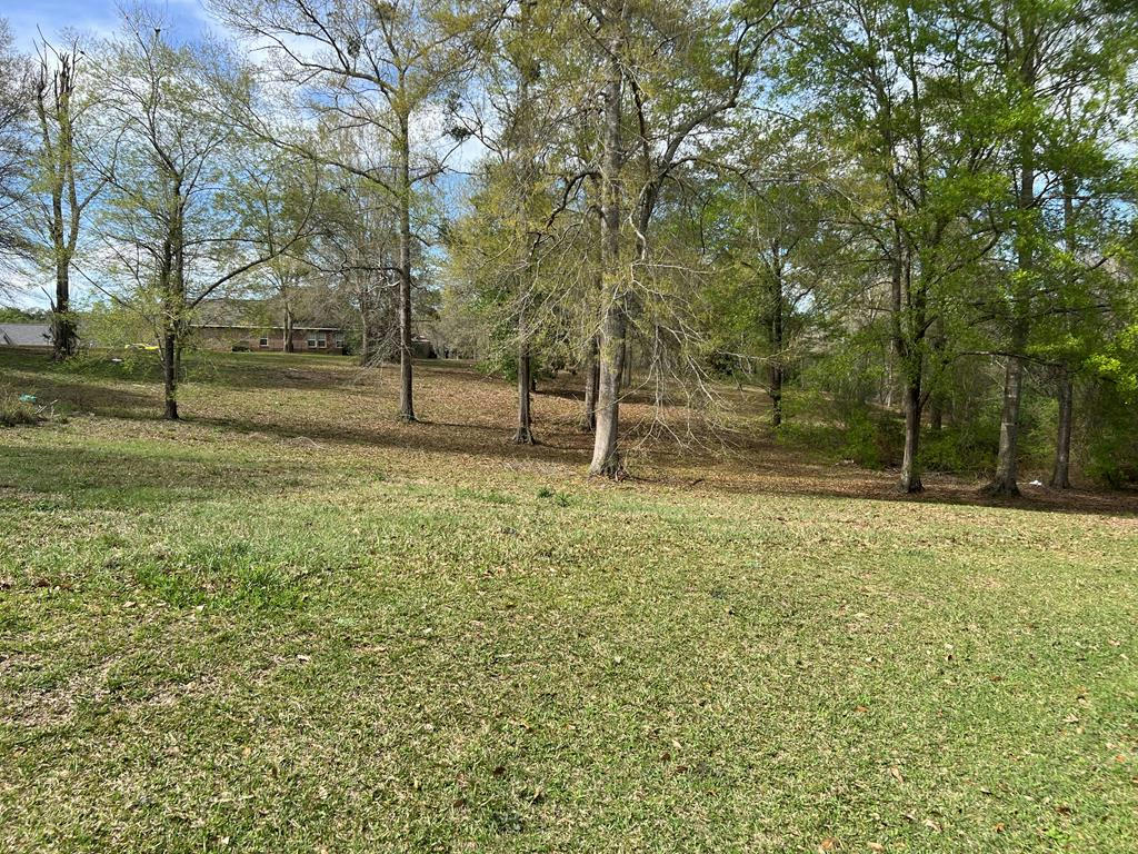00 LAKESHORE DR., CARRIERE, MS 39426, photo 1 of 6