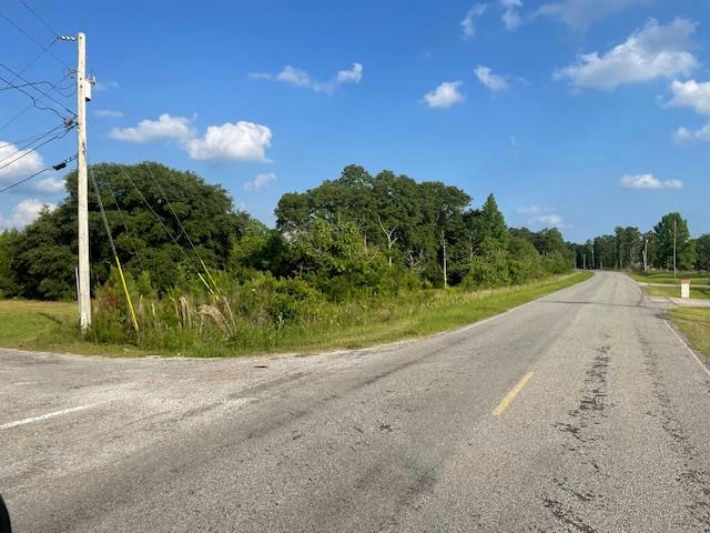 TRACT 3 TRACT 3 OF 620 GEORGE WISE ROAD, CARRIERE, MS 39426, photo 1 of 5