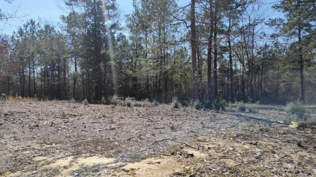 NHN LOT 30 MAGENTA LN, PICAYUNE, MS 39466, photo 2 of 4